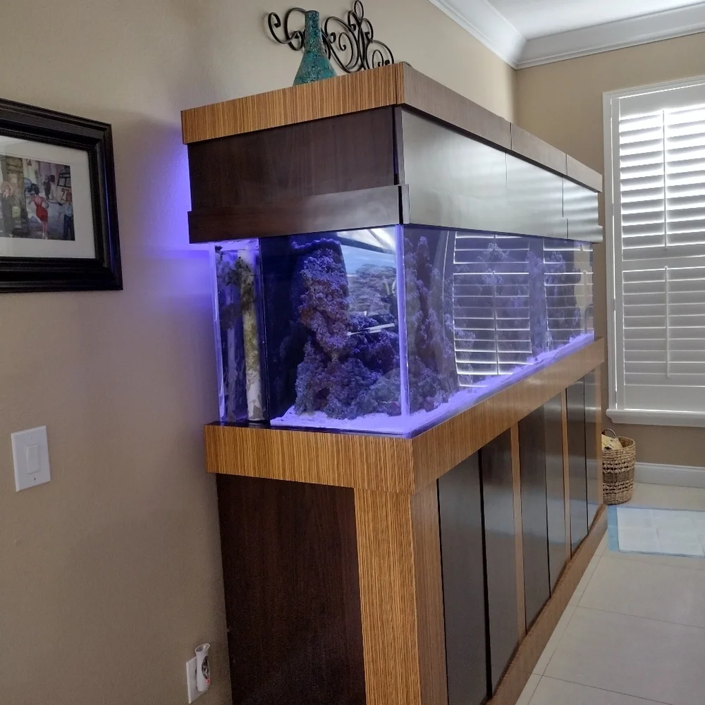 Fishtank/Aquarium